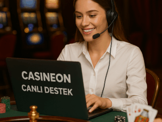 casineon canlı destek hattı
